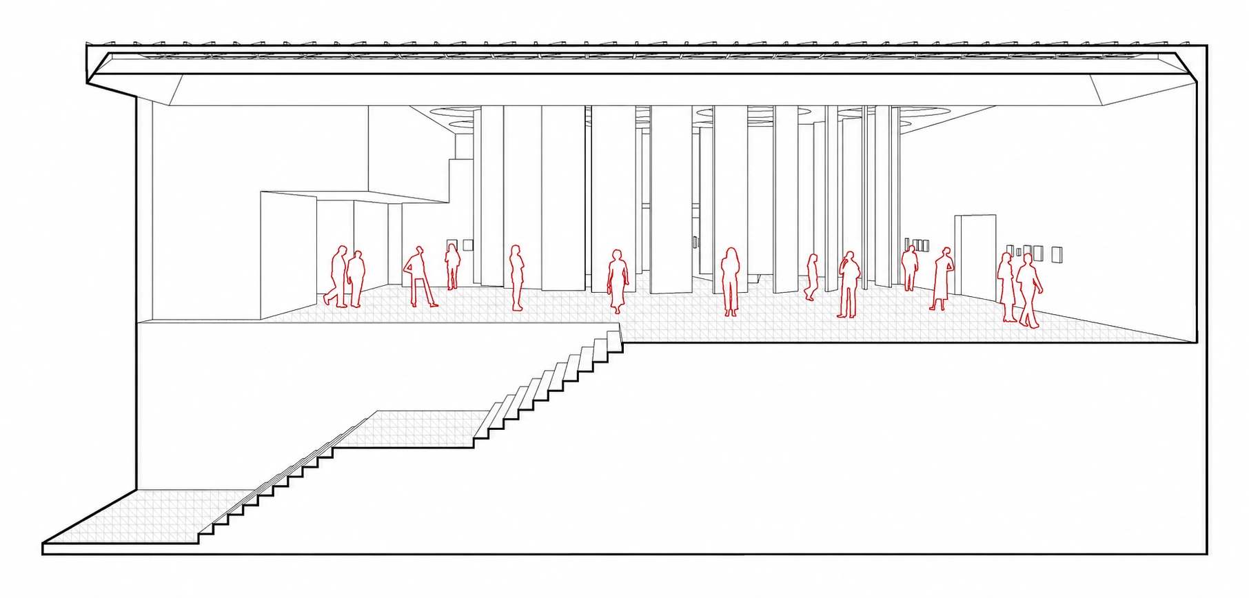 long section