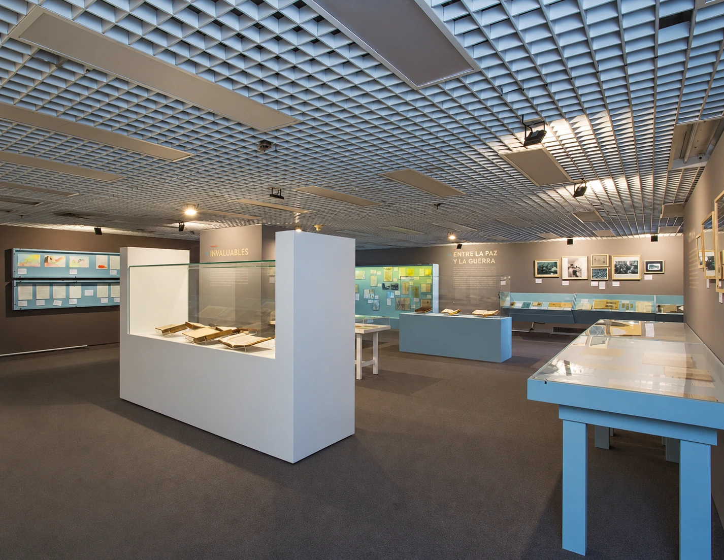 freestanding and table cases beneath the coffered ceiling — BLAA 60 years