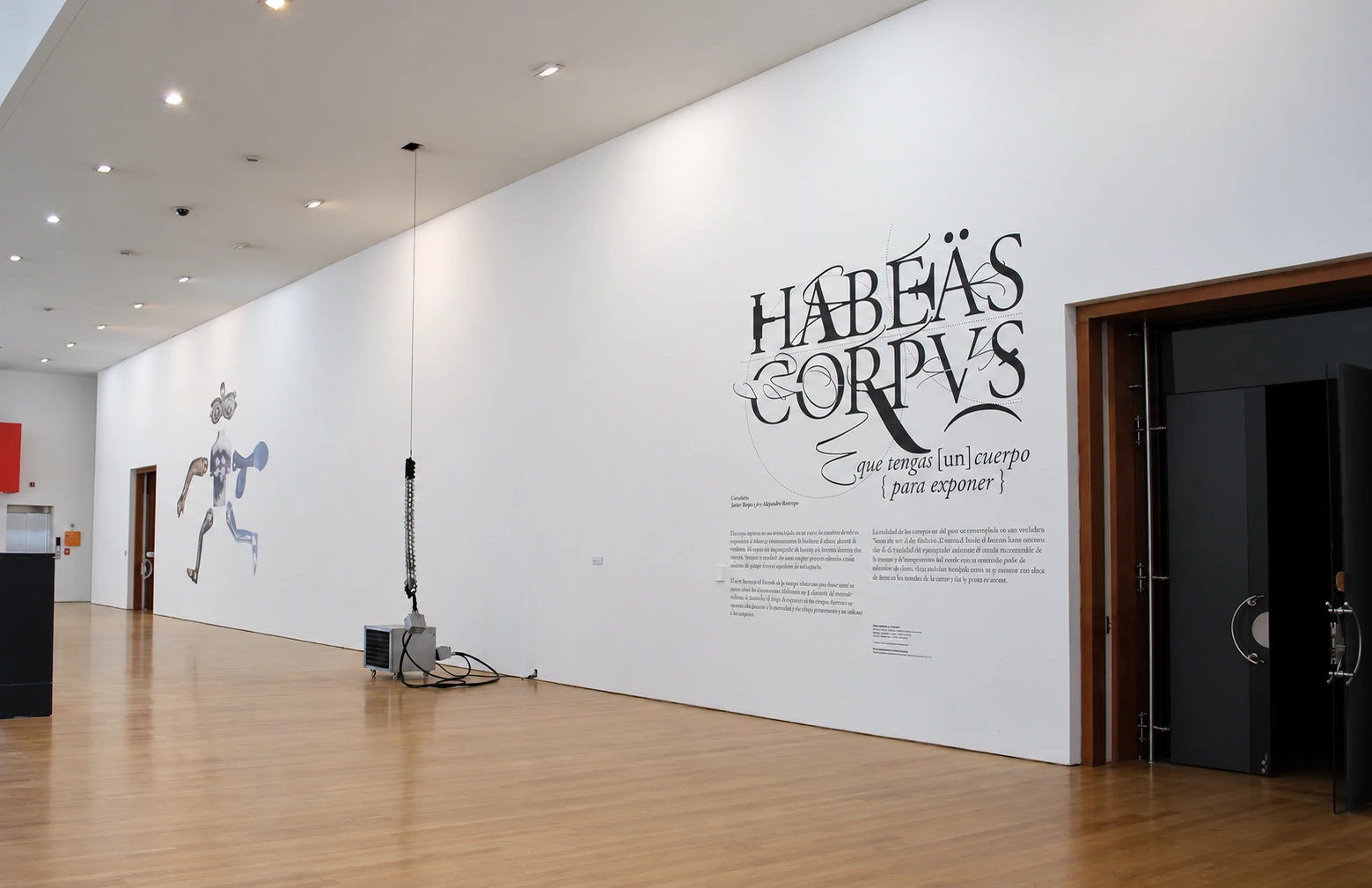 title wall — Habeas Corpus: may you have a body to exhibit