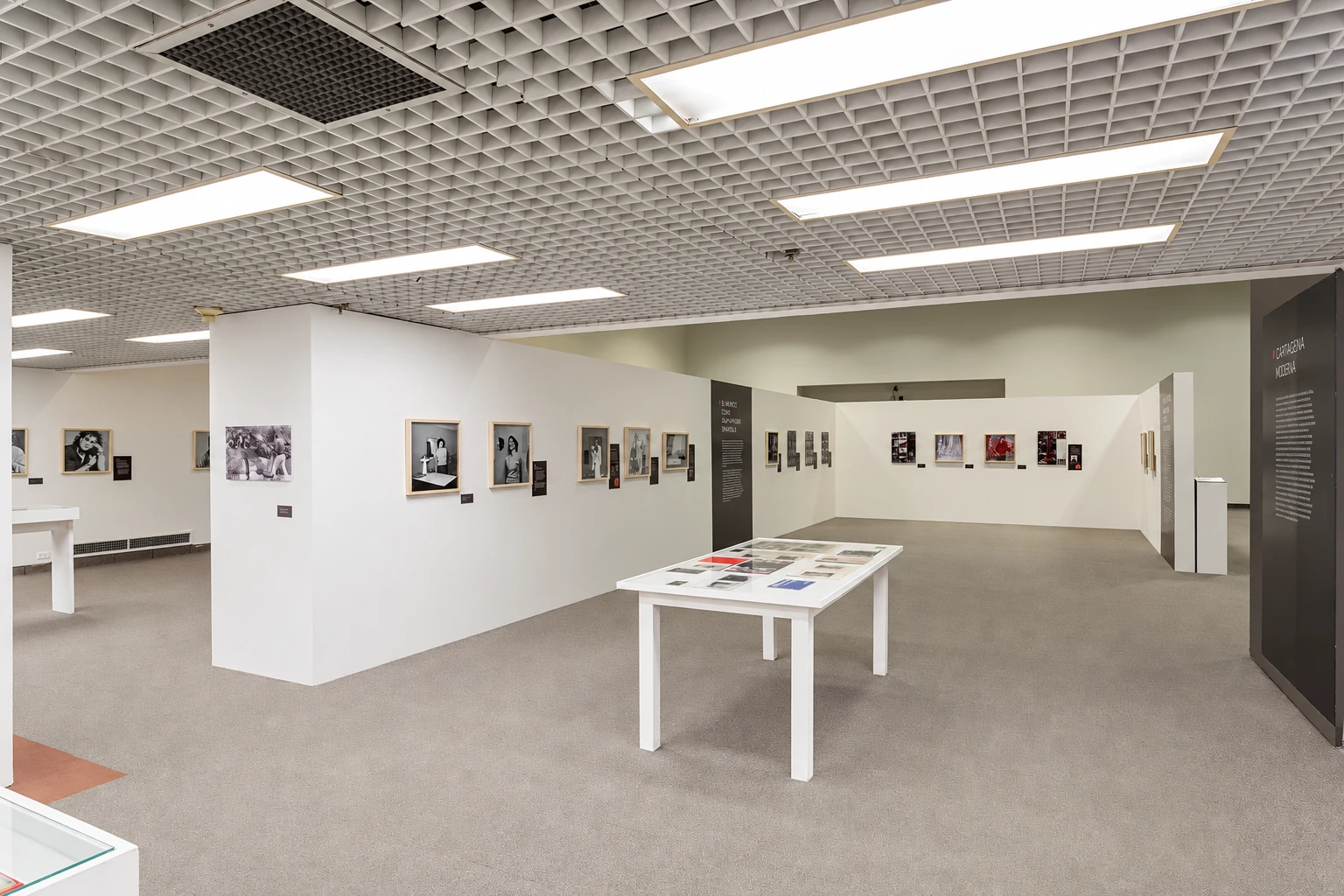 table cases and photography walls — Hernán Díaz revealed