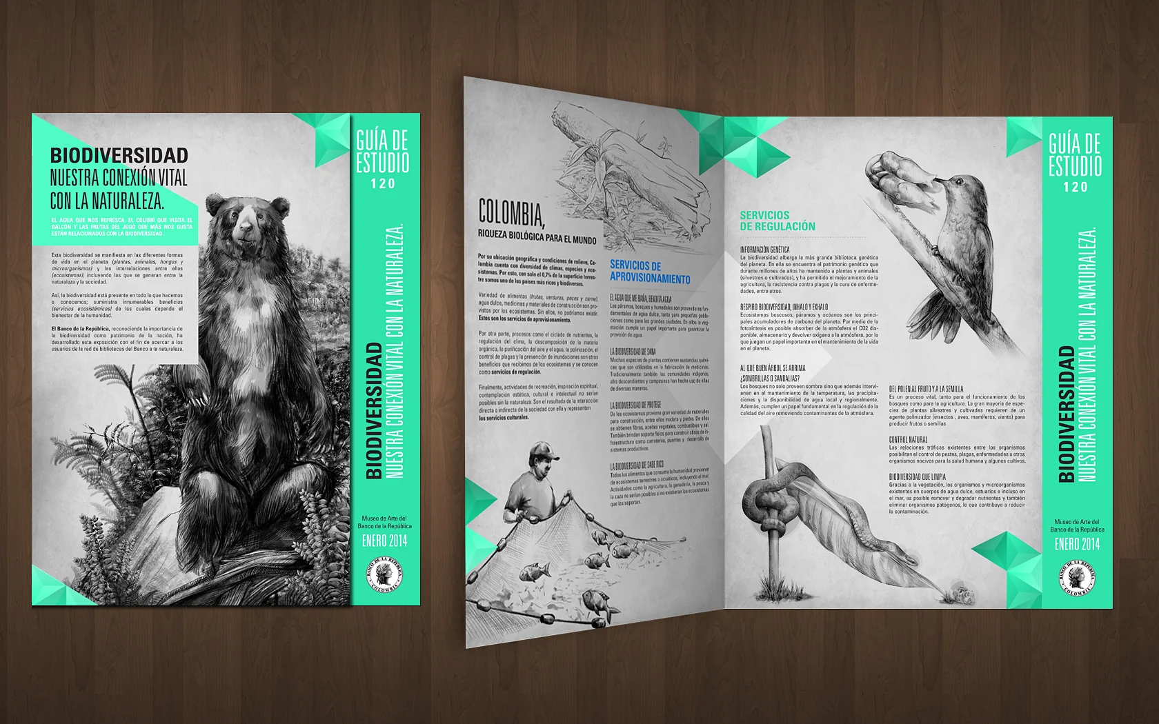 Editorial mockup of a folded brochure; not a gallery installation view. — Our connection with nature