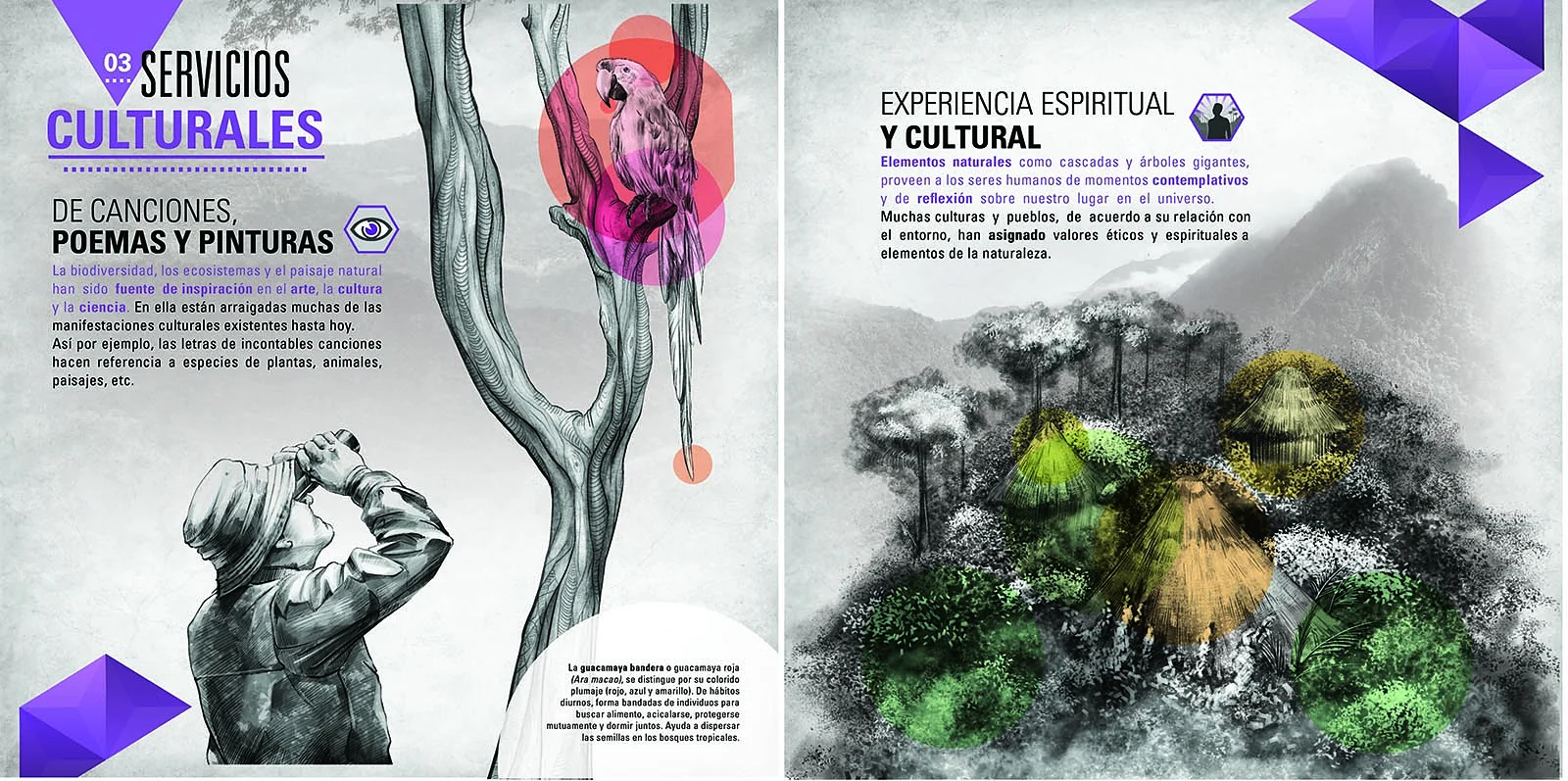 panel: cultural services — Our connection with nature