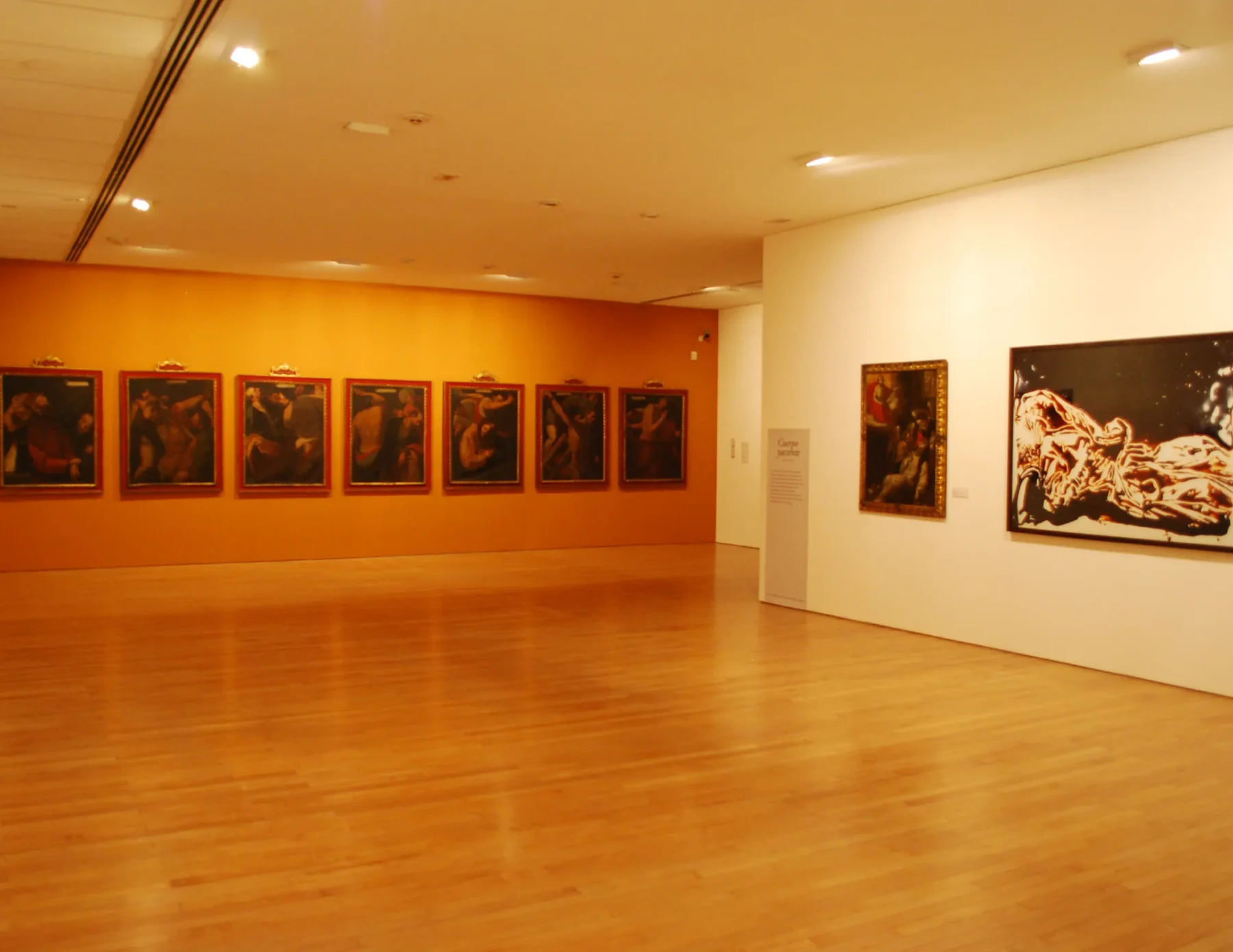 coloured wall with a painting series — Habeas Corpus: may you have a body to exhibit